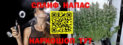прущие крисы Новокубанск