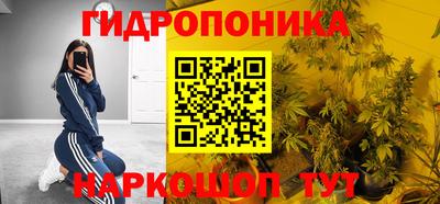 прущие крисы Новокубанск